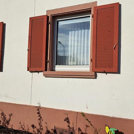 Schoene Wohnung In Worms Private Gastgeber Eksteriør bilde